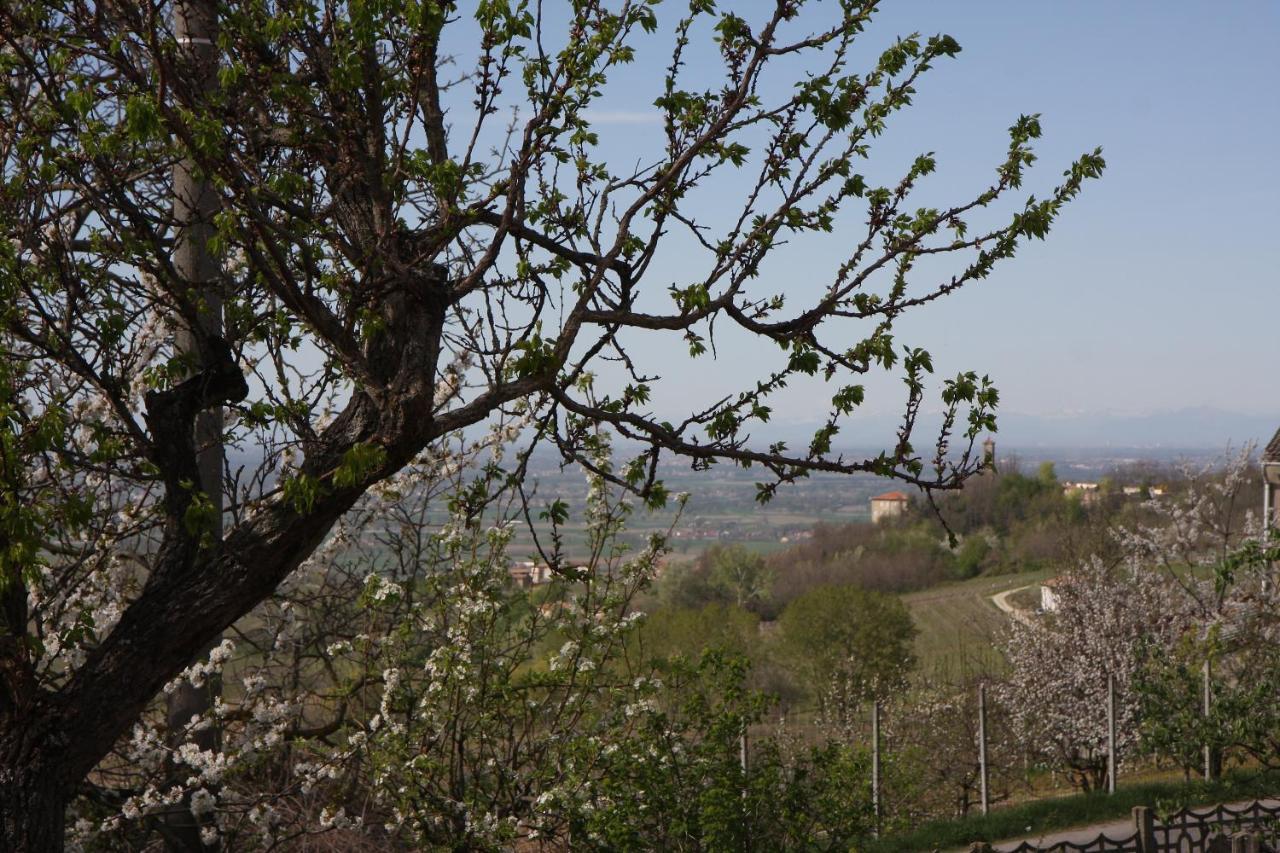 Pietra dei Giorgi Gli Acini Bed & Breakfast エクステリア 写真