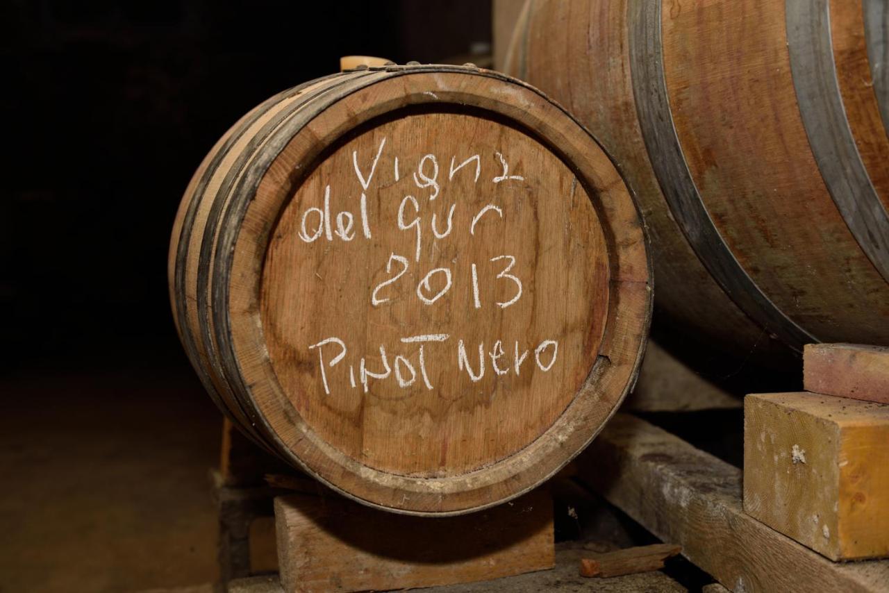 Pietra dei Giorgi Gli Acini Bed & Breakfast エクステリア 写真