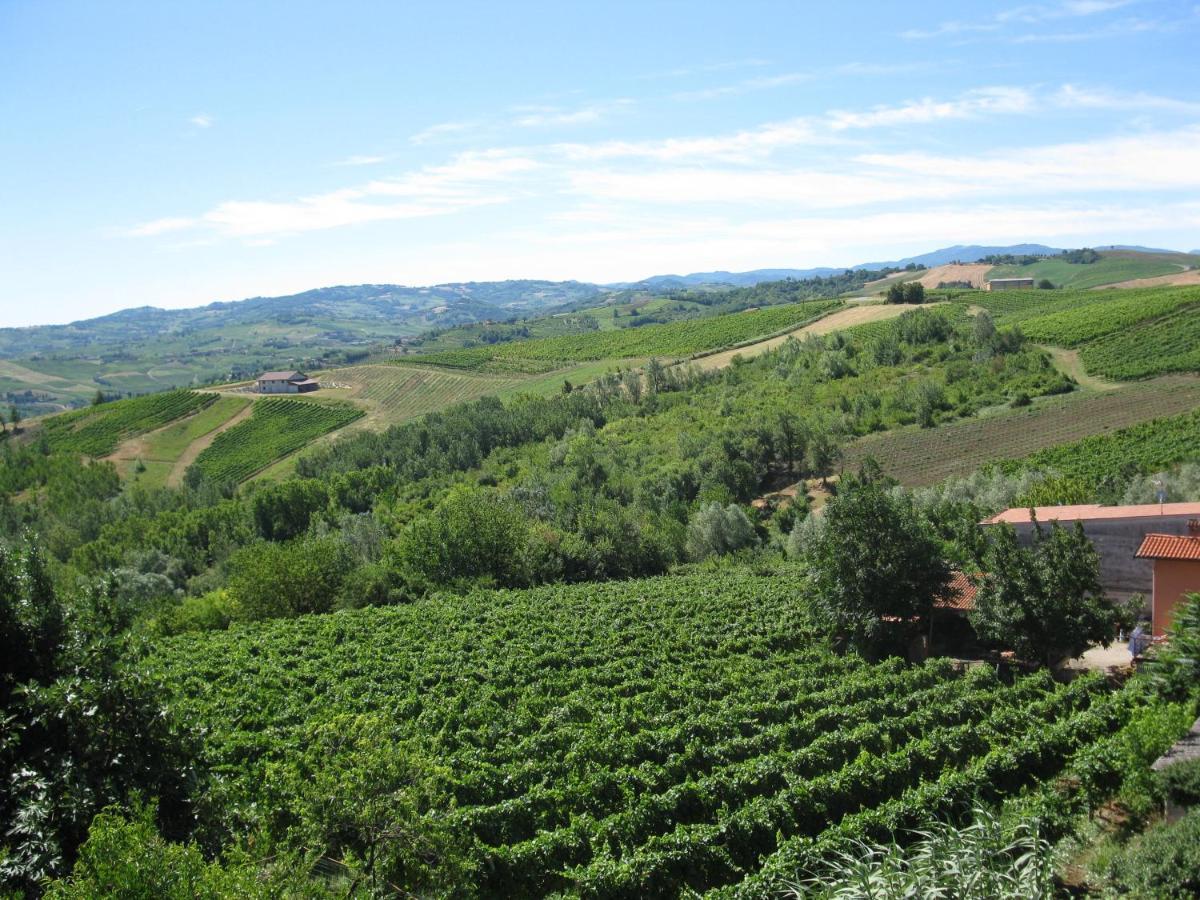 Pietra dei Giorgi Gli Acini Bed & Breakfast エクステリア 写真
