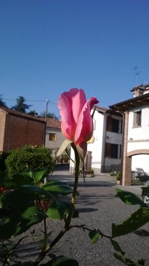 Pietra dei Giorgi Gli Acini Bed & Breakfast エクステリア 写真